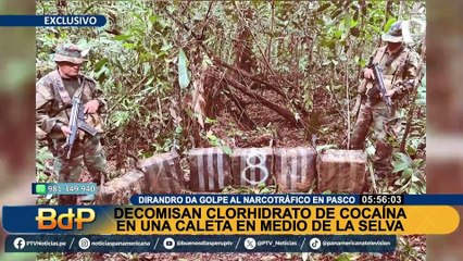 Golpe al narcotráfico en Pasco: decomisan más de 200 kg de cocaína oculta en medio de la selva