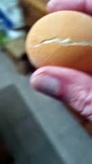 Œuf Frit Congelé 🥚