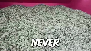 If_You_Can_Carry_$1,000,000_You_Keep_It!(360p)