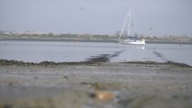 Unsafe traces of e-coli reported to have been found in River Medway