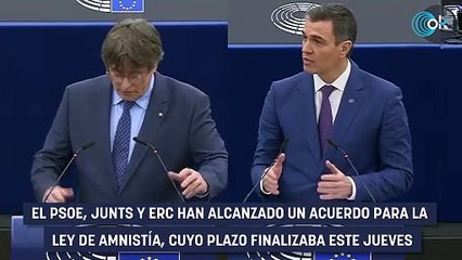Sánchez pacta con Puigdemont que la amnistía «cubra a todas las personas vinculadas al procés»