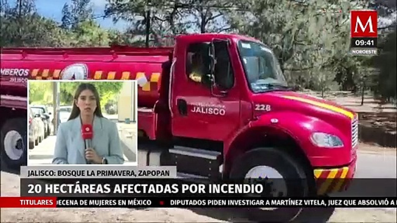 Registran 20 hectáreas dañadas por incendio en bosque La Primavera, Zapopan