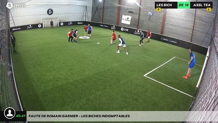 Faute de Romain Garnier - Les Biches Indomptables