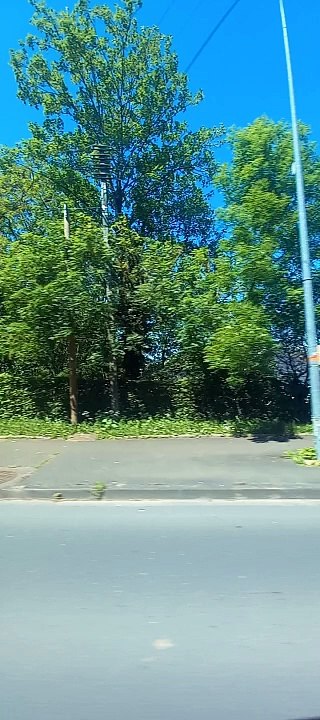 Chartres  Bus 1 Direction Mainvilliers Grandes Ruelles  #france #chartres #franceville #bus  (4)