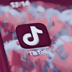 Des politiciens cherchent à interdire l'application TikTok aux États-Unis !