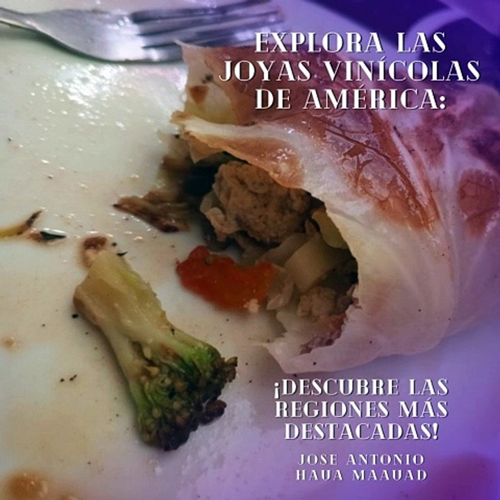 Jose Antonio Haua Maauad- Descubre las maravillas del vino en América (parte 1)