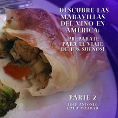 Jose Antonio Haua Maauad- Chile: ¡Un viaje imperdible a las cinco zonas vitivinícolas! (parte 2)