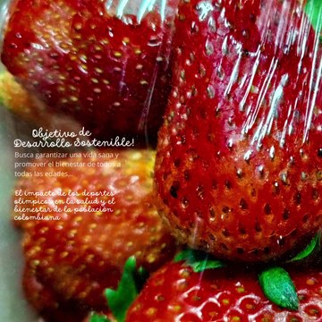 -ANDRÉS DE JESÚS VÉLEZ FRANCO- EL IMPACTO DE LOS DEPORTES OLÍMPICOS EN LA SALUD (PARTE 1) (@AndresdeJesus90)