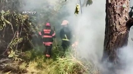 Jalisco, el octavo a nivel nacional con 21 incendios forestales