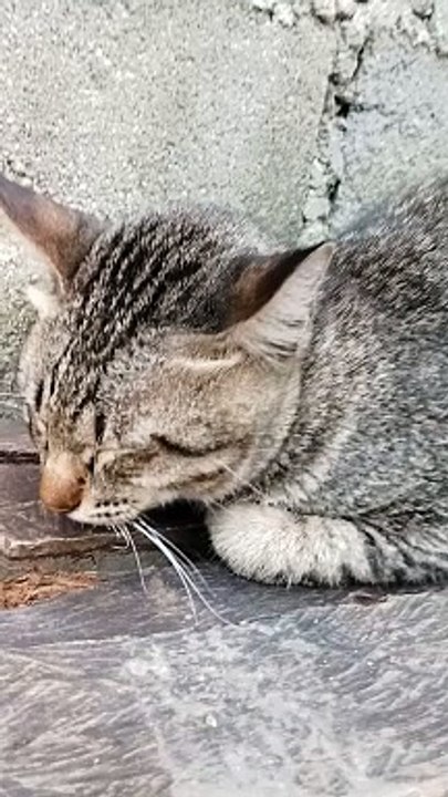 may sakit si kiti