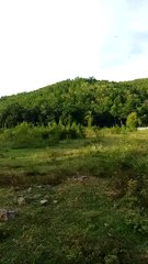 nice view