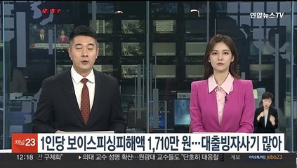 1인당 보이스피싱 피해액 1,710만원…대출빙자 사기 많아