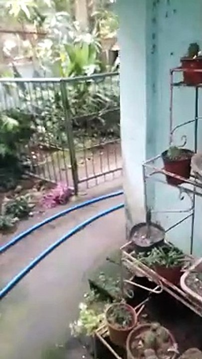 laro muna