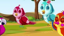 चिड़ियाघर और चालाक कौआ और कौआ | Tuntuni Stories | Hindi Kahaniya  | Chidiya wala Cartoon