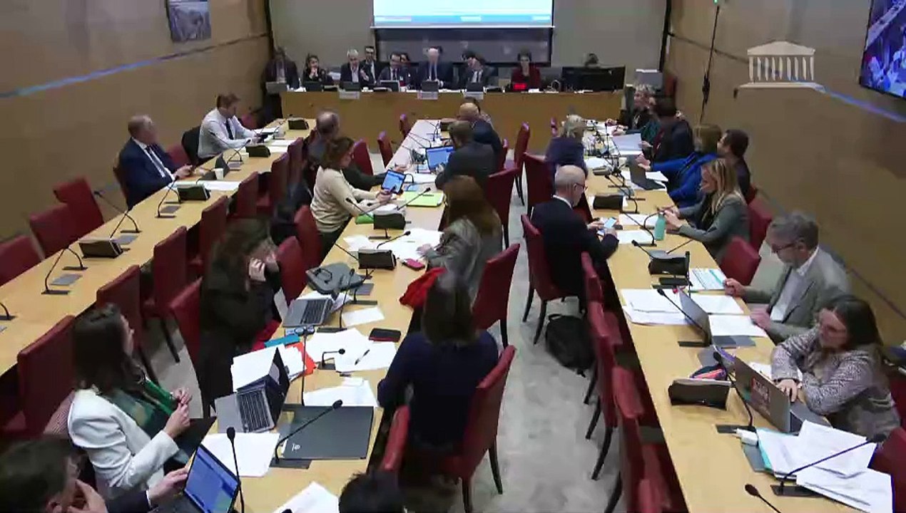 Commission du développement durable : Gouvernance de la sûreté nucléaire et de la radioprotection pour répondre au défi de la relance de la filière nucléaire (suite) - Mercredi 6 mars 2024