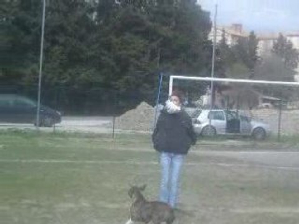Au stade