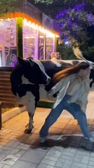 crazy memes from the internet pt.14