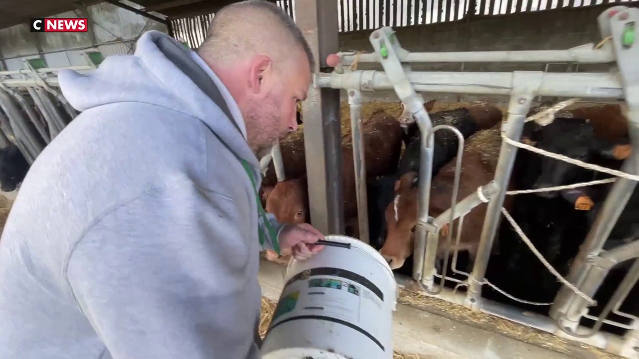 Crise agricole : un couple d'éleveurs déçu par le gouvernement