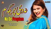 Pashto New Song 2024 | Na De Pregdam | Arzoo Naaz | Sana Jan