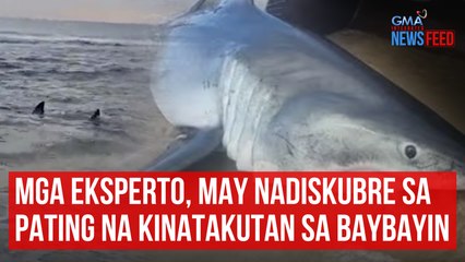 Скачать видео: Mga eksperto, may nadiskubre sa pating na kinatakutan sa baybayin | GMA Integrated Newsfeed