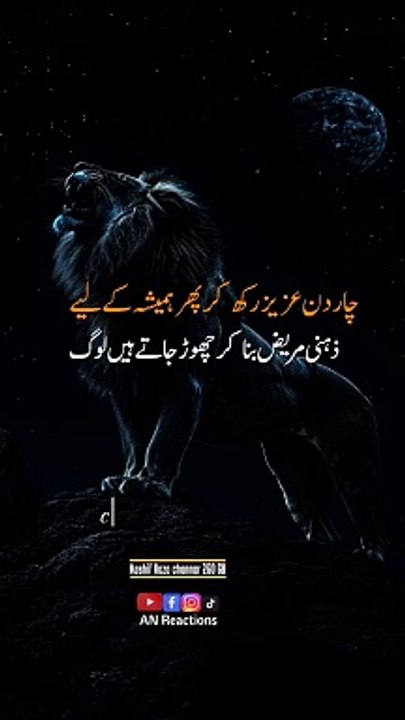 new whatsapp status