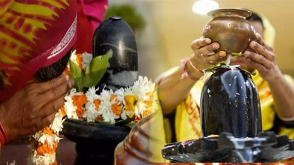 Maha Shivratri 2024: महाशिवरात्रि चार पहर की पूजा में क्या चढ़ाएं क्या नहीं | Boldsky