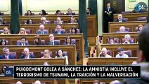 Puigdemont golea a Sánchez: la amnistía incluye el terrorismo de Tsunami, la traición y la malversación