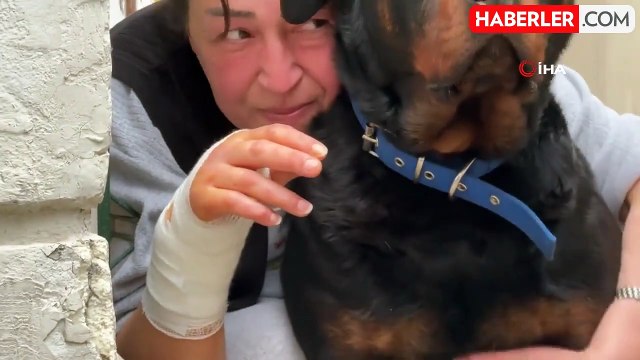 Sokak köpeğinin saldırısına uğrayan kadın dehşet anlarını böyle anlattı