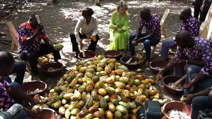 Sa Majesté la Reine Mathilde de la Belgique visite une plantation de cacao dans la région de la Nawa