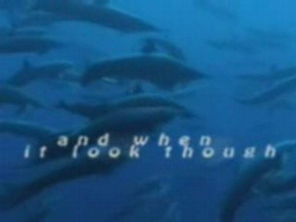 Simple Minds-Dolphins