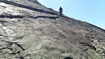 ‘World’s oldest fossil forest’ discovered on south coast of England