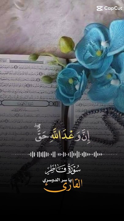 "القرآن الكريم: نور الهدى ورحمة الله في حياتنا"