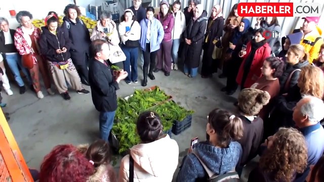 Balıkesir'de Tıbbi Aromatik Bitki Yetiştiriciliği Kurslarına Yoğun İlgi
