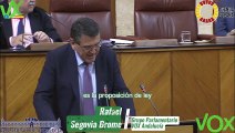 Rafael Segovia Brome. Doble intervención en Pleno de 07.03.2024