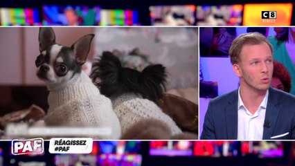 Un couple considère ses 5 chiens comme leurs enfants !