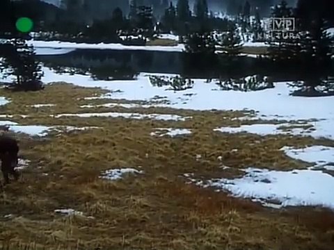 Głos - film kostiumowy