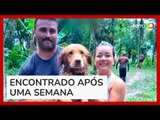 Vídeo mostra resgate de cachorro ilhado em mangue no litoral de SP