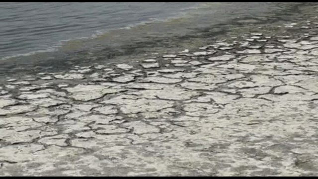 Copernicus: è l'inverno più caldo mai registrato, febbraio da record