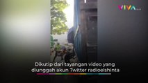 Aksi Kejar-kejaran Polisi Vs Sopir Truk Ugal-ugalan