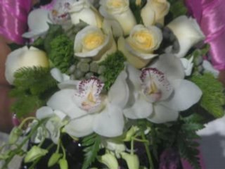 Recopilacion mi taller 11