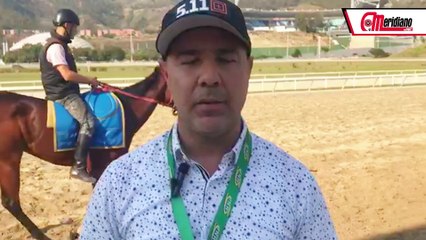 Hipismo: Luis Peraza, Entrenador.