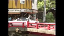 西村京太郎サスペンス 十津川警部シリーズ13 特急「しなの21号」殺人事件