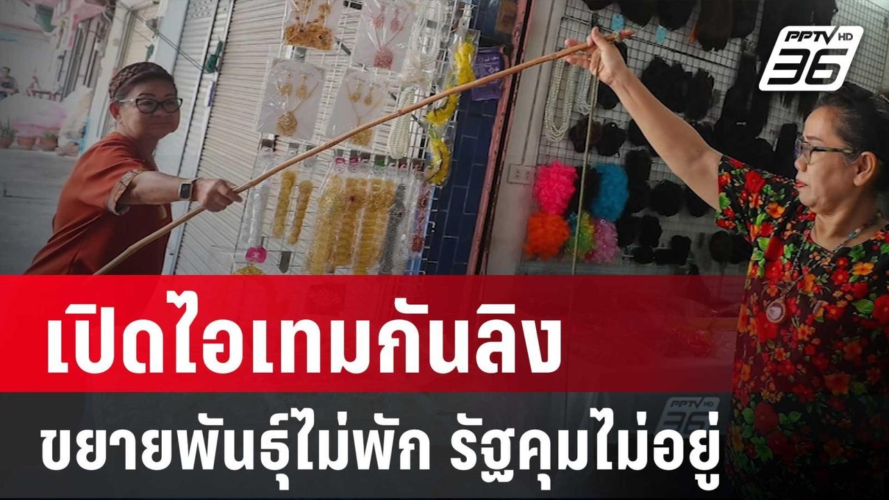 เปิดไอเทมกันลิงชาวลพบุรี โอดขยายพันธุ์ไม่พัก รั...