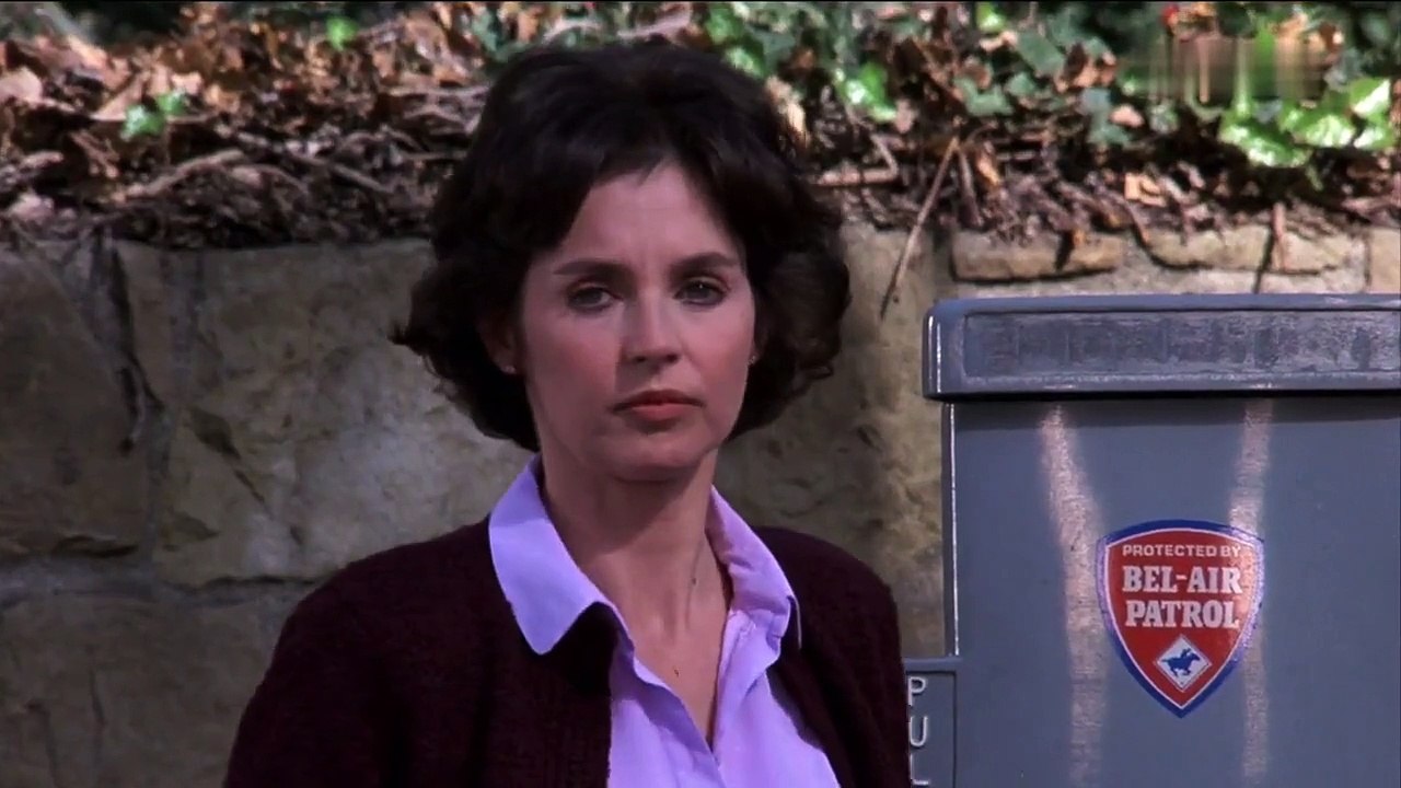 Hart aber herzlich S02E13-Die Kugel des Mörders