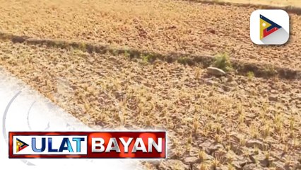 Opisyal na pagsisimula ng tag-init, posibleng ianunsiyo na ng PAGASA sa susunod na dalawang linggo