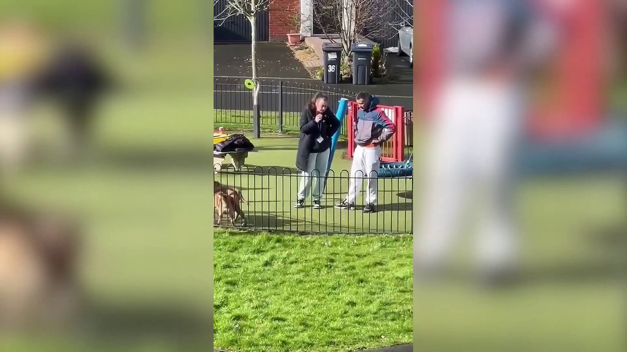 Cruel yob attacks dog