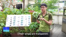 Taipei Zoo Shows Off Its Blue Creatures