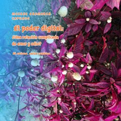 Moises Shemaria Capuano| El poder digital (parte 1)