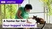 Retired nurse cares for stray animals now
