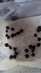 Mon potager 26 - Je prépare le tamarin pour le planter ! {Exclusivité Dailymotion)